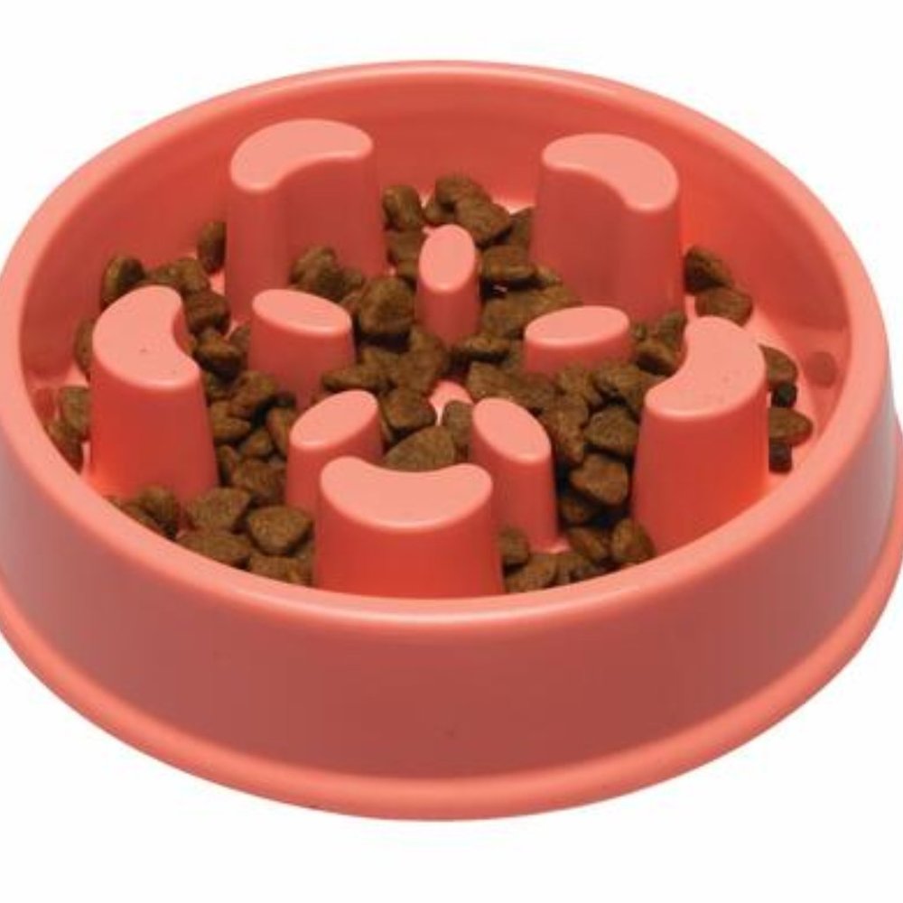 Pet Trends Slow-Feeding Dog Bowl